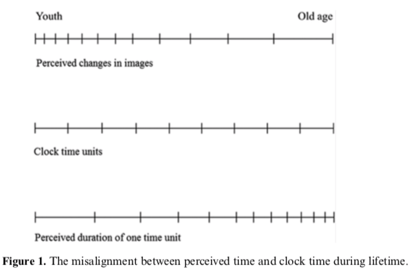 Physics explains why time passes faster as you age