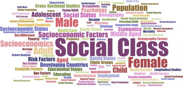 The Development of Research in Socioeconomic Inequalities and Social Stratification: A Bibliometric Analysis